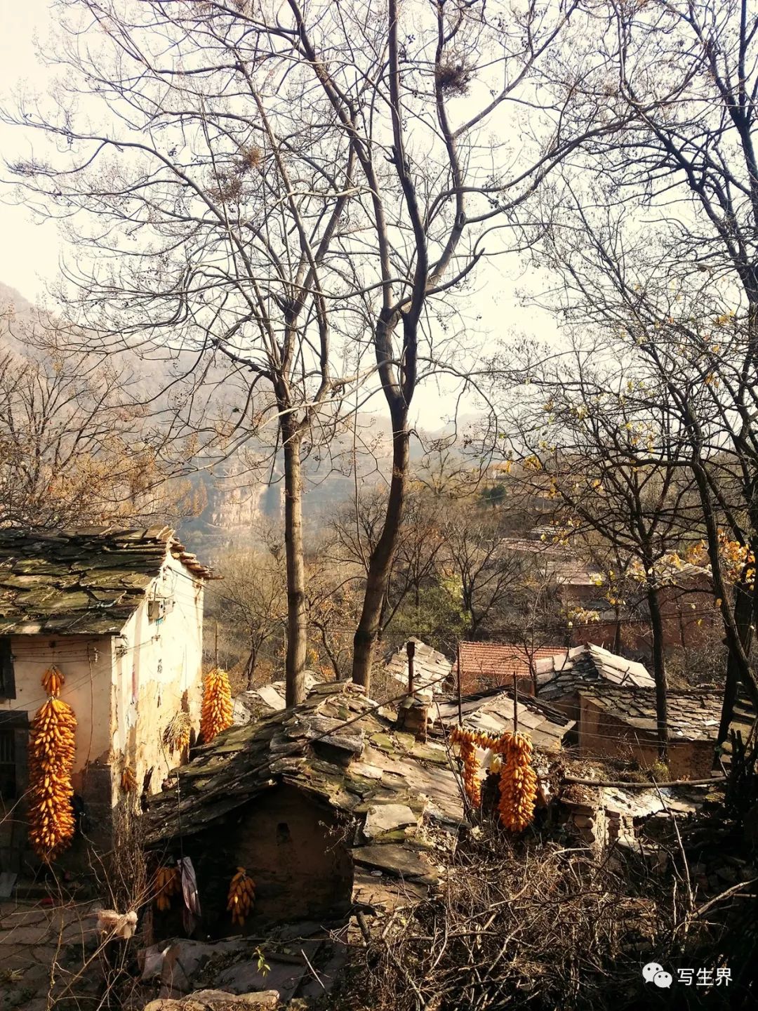 微信图片_20230113112346.jpg