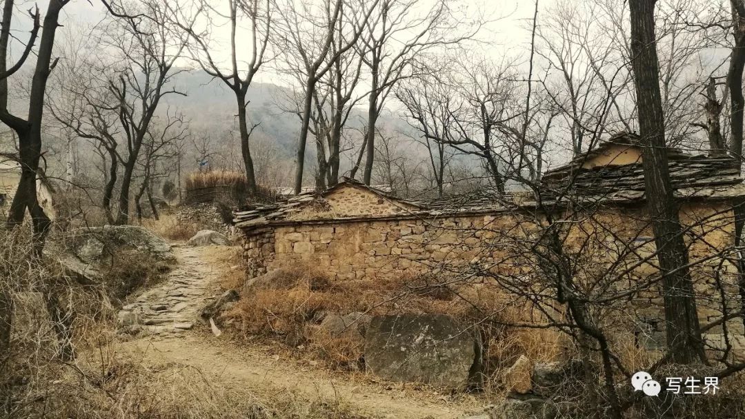 微信图片_20230113112518.jpg
